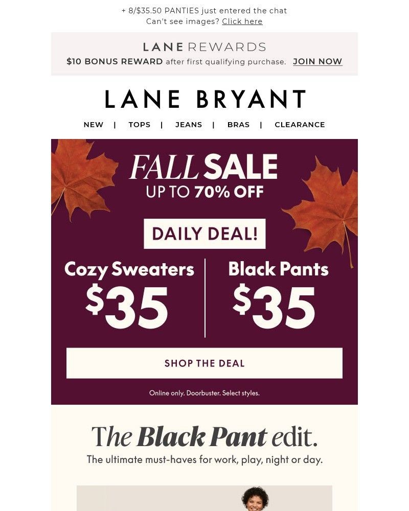 Screenshot of email with subject /media/emails/todays-deal-35-black-pants-sweaters-too-a2e69f-cropped-fd2a7187.jpg