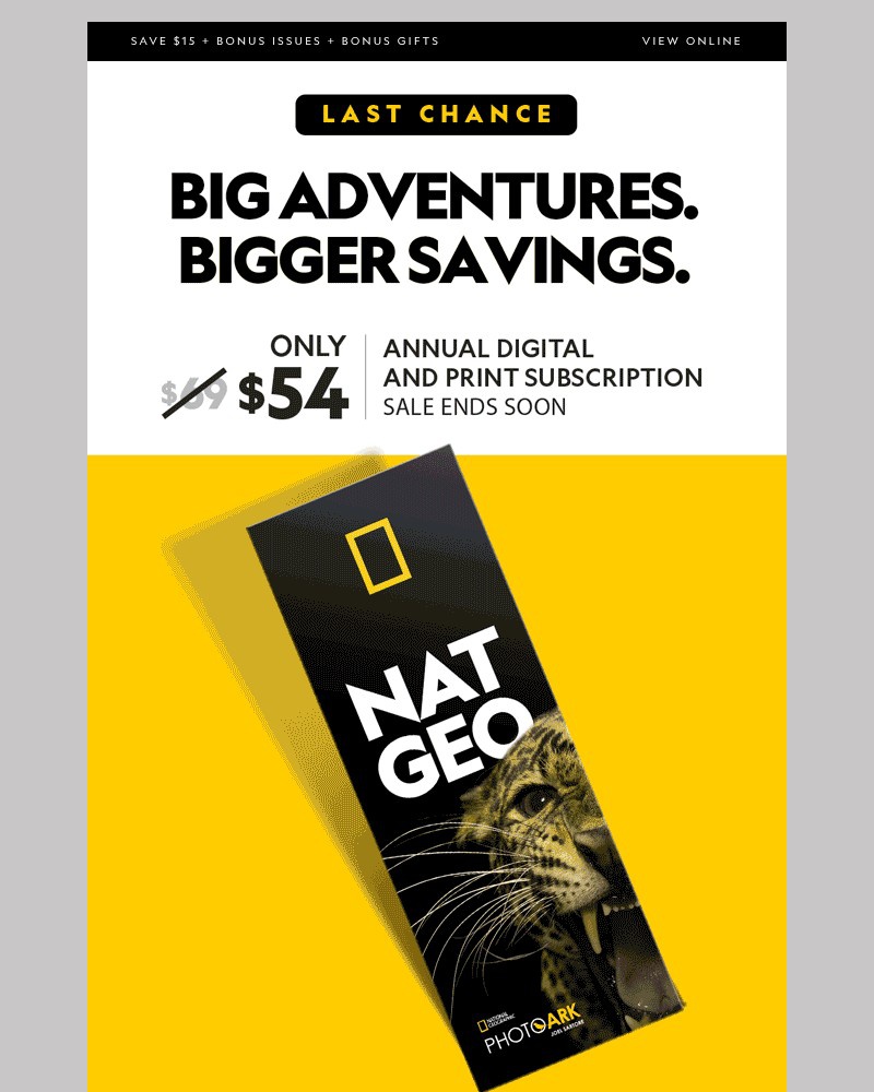 Screenshot of email sent to a National Geographic Newsletter subscriber