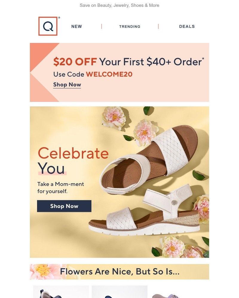 Screenshot of email sent to a QVC Newsletter subscriber