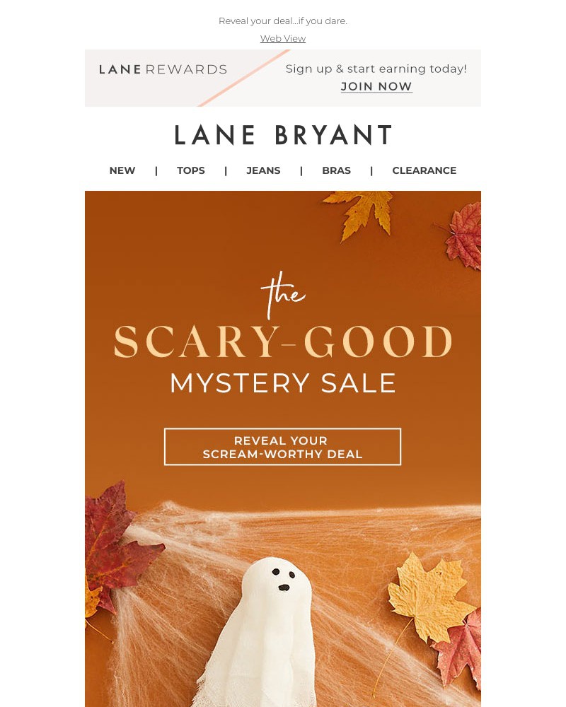 Screenshot of email with subject /media/emails/todays-mystery-sale-is-a-total-scream-00e380-cropped-d7c412c1.jpg