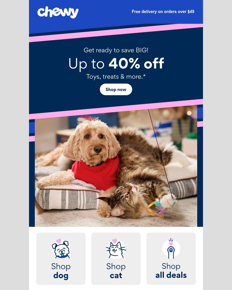 Screenshot of email sent to a Chewy Registered user