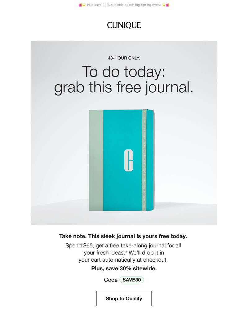 Screenshot of email with subject /media/emails/todays-treat-get-a-free-journal-with-your-65-order-5aebe0-cropped-4f2031f6.jpg