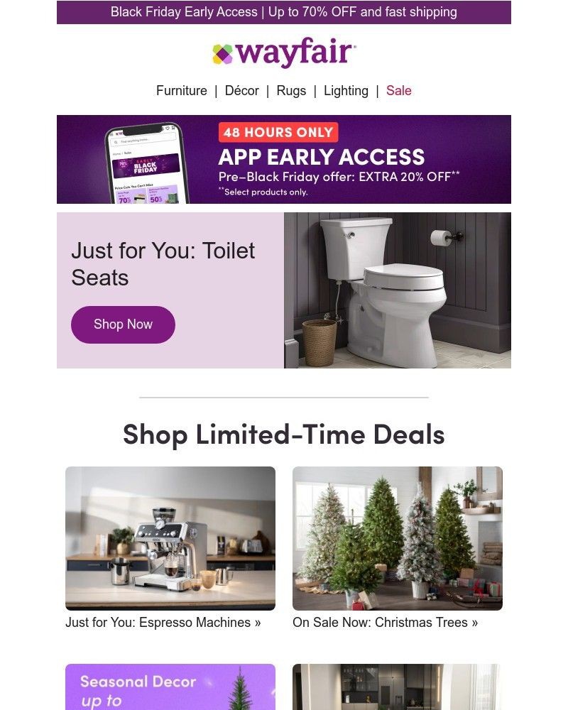 Screenshot of email with subject /media/emails/toilet-seats-ad7fc7-cropped-1193ad11.jpg