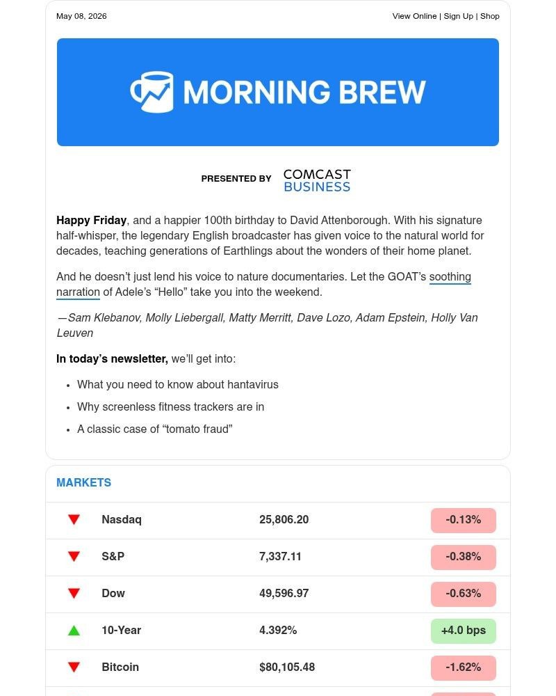 Screenshot of email sent to a Morning Brew Newsletter subscriber