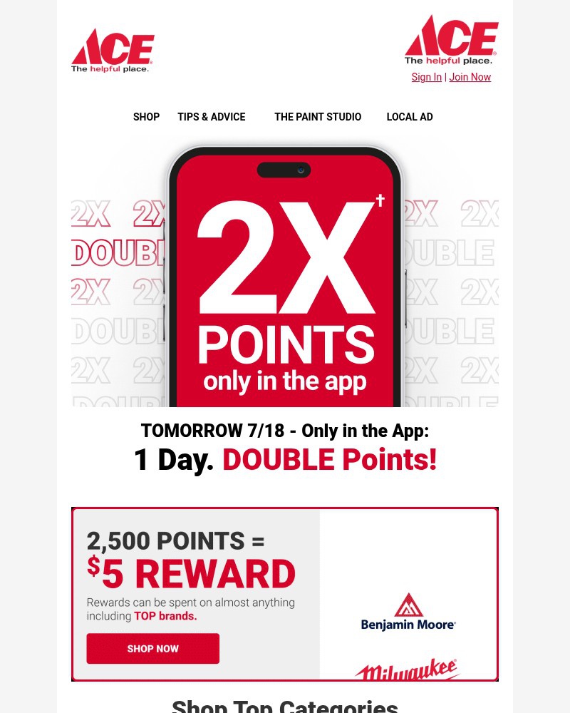 Screenshot of email sent to a Ace Hardware Newsletter subscriber