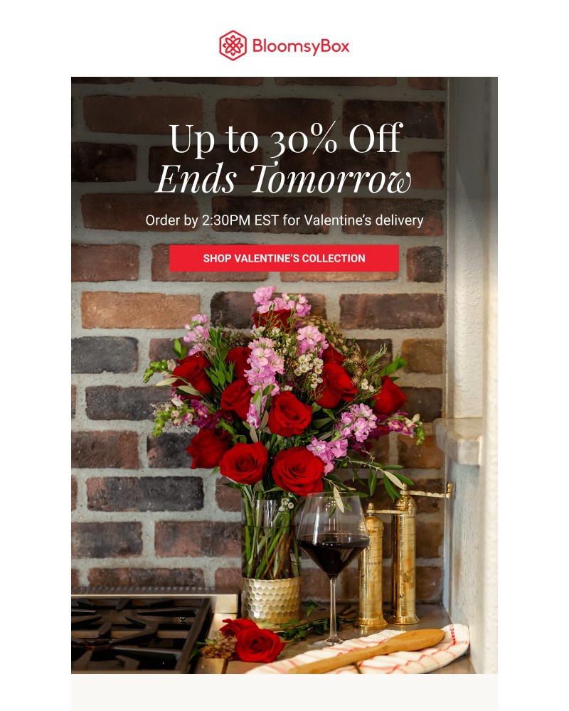 Screenshot of email with subject /media/emails/tomorrow-is-the-last-chance-1bef56-cropped-6db0805e.jpg