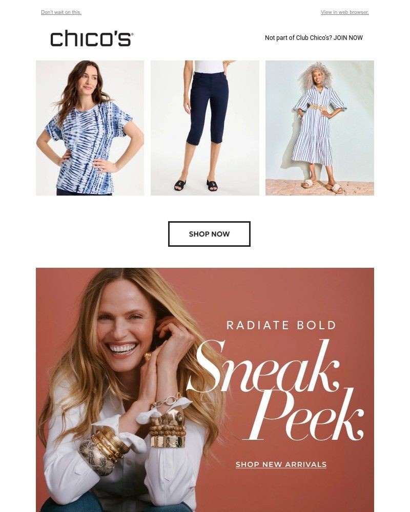 Screenshot of email with subject /media/emails/tomorrow-its-over-extra-60-off-all-sale-4ef9f2-cropped-47f67de2.jpg