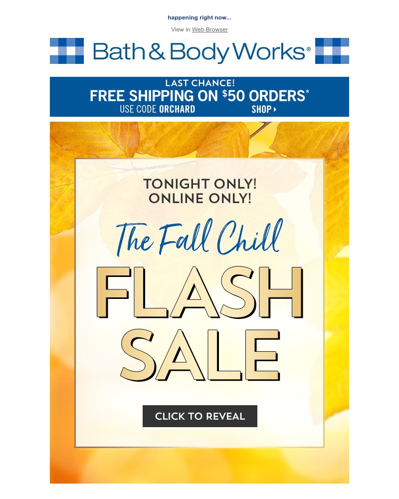 Screenshot of email with subject /media/emails/tonight-only-flash-sale-619c9a-cropped-96d78459.jpg