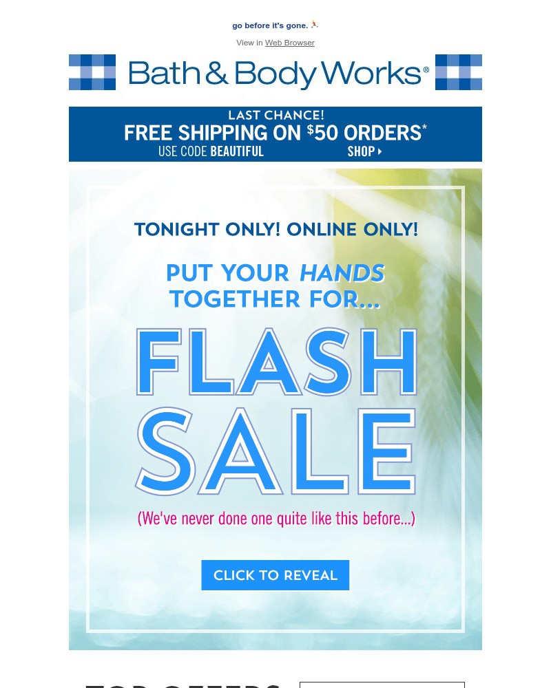 Screenshot of email with subject /media/emails/tonight-only-flash-sale-7d81e0-cropped-1dd138b8.jpg