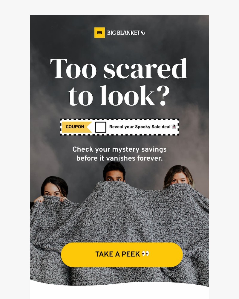 Screenshot of email with subject /media/emails/too-scared-to-look-fb0d06-cropped-d36569b4.jpg