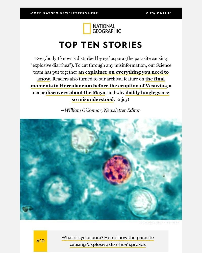 Screenshot of email with subject /media/emails/top-10-how-the-parasite-cyclospora-spreads-a-big-maya-discovery-a-brutal-explorer_NERpbOq.jpg