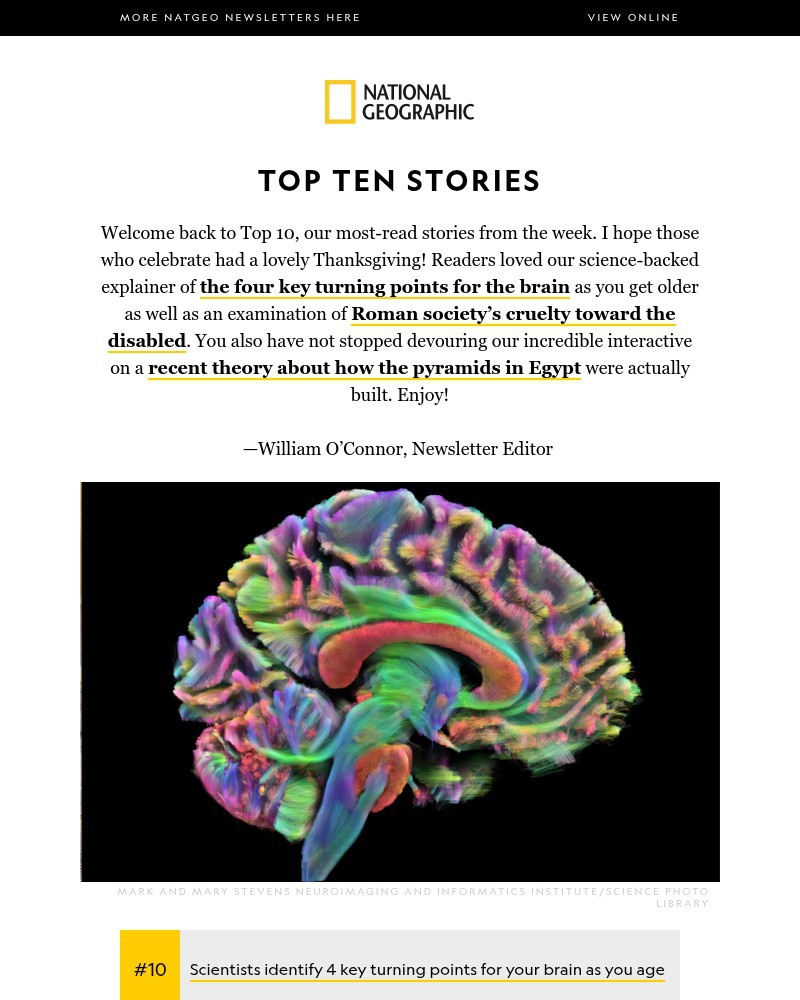 Screenshot of email with subject /media/emails/top-10-key-turning-points-for-your-brain-as-you-age-a-shocking-orca-hunt-how-crue_epBqld2.jpg