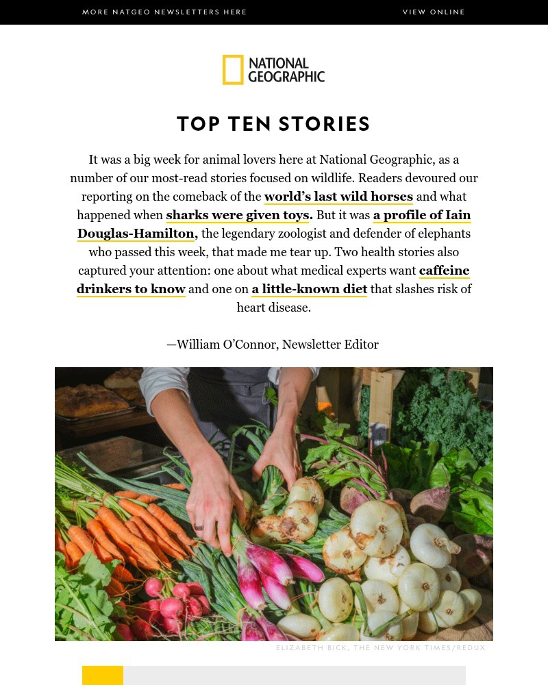 Screenshot of email with subject /media/emails/top-10-little-known-diet-for-heart-disease-maya-kingdom-almost-lost-to-time-face-_2n3W3bC.jpg