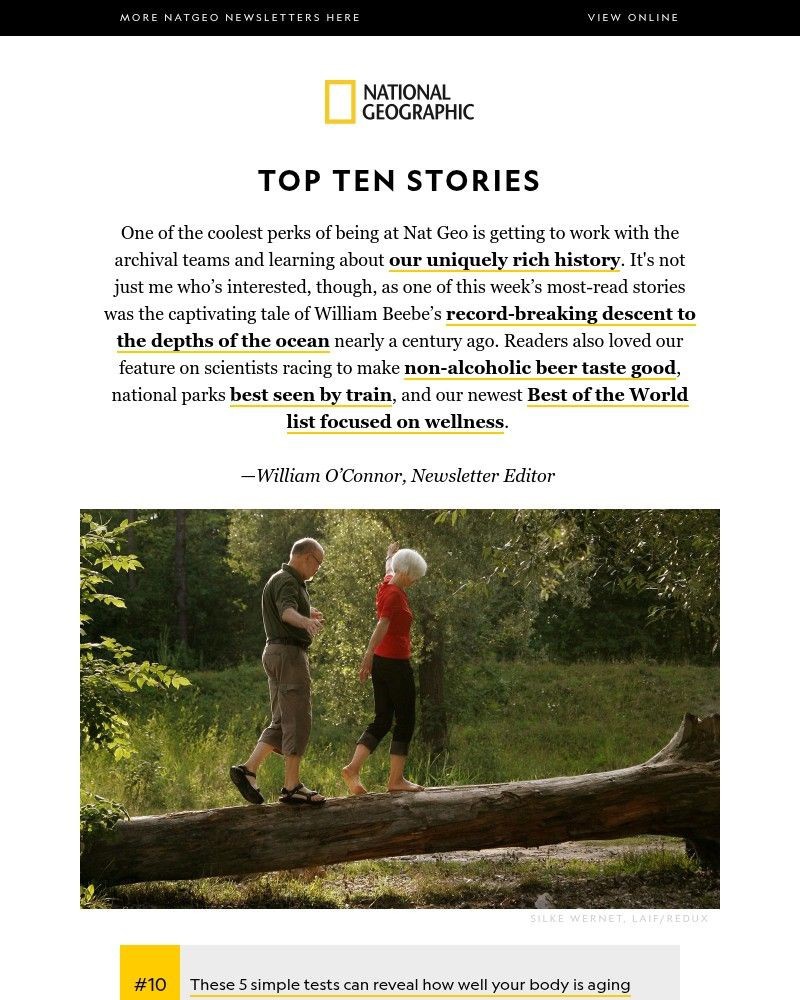 Screenshot of email with subject /media/emails/top-10-simple-tests-to-measure-aging-can-cuteness-save-grumpy-faced-lizards-clues_KEoBEsX.jpg