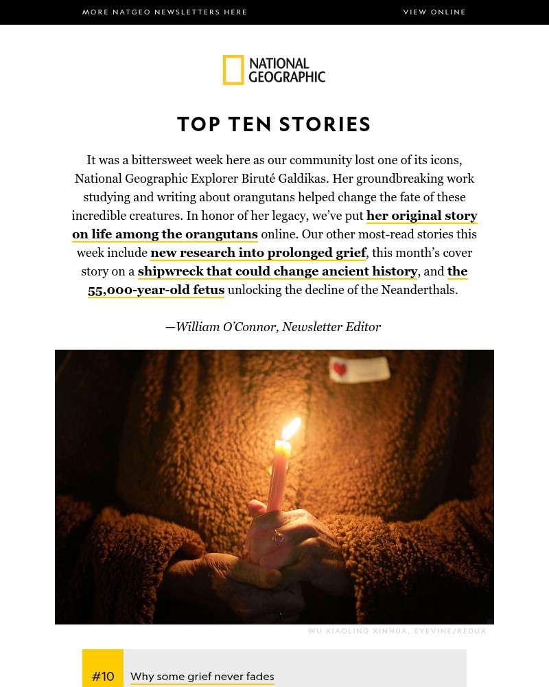 Screenshot of email sent to a National Geographic Newsletter subscriber