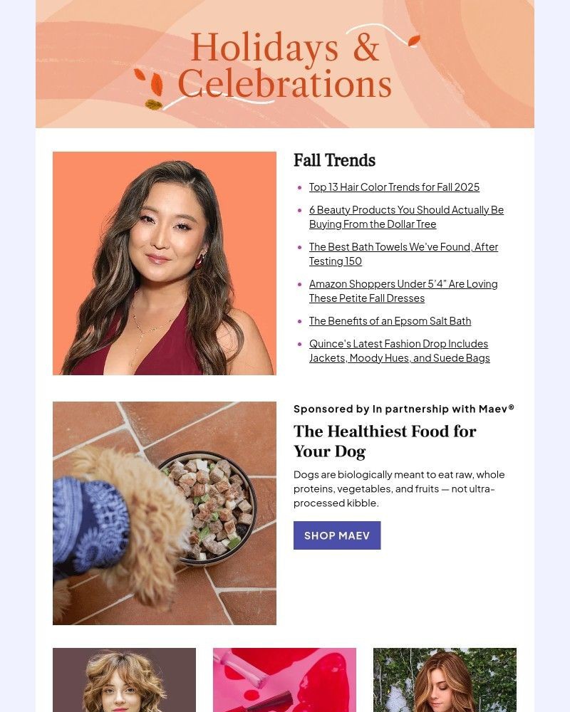 Screenshot of email with subject /media/emails/top-13-hair-color-trends-for-fall-2025-0c82d1-cropped-59b2131d.jpg