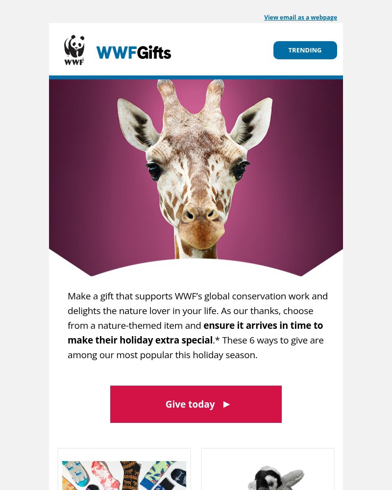 Screenshot of email with subject /media/emails/top-6-wildlife-giftsgive-by-1159pm-tonight-d6ff1d-cropped-b9831329.jpg