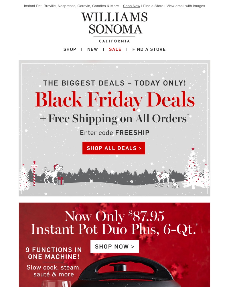 Screenshot of email with subject /media/emails/top-black-friday-deals-25-off-peppermint-bark-ends-tonight-1-cropped-5d4248cc.jpg