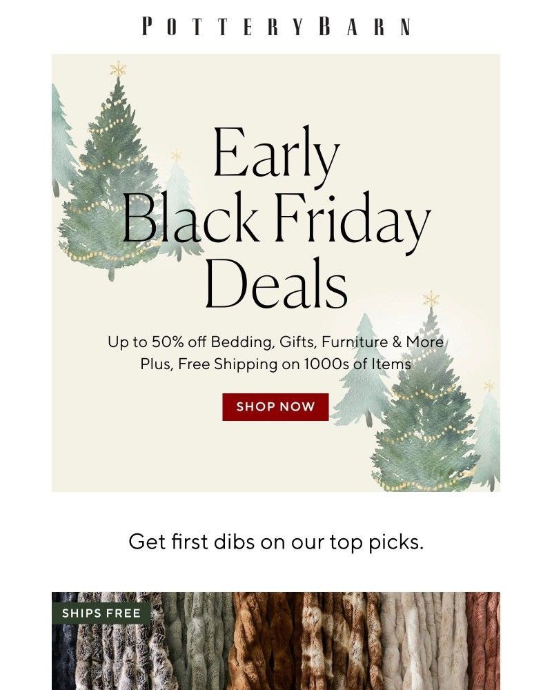 Screenshot of email with subject /media/emails/top-picks-early-black-friday-sale-1c4727-cropped-2db09dd8.jpg