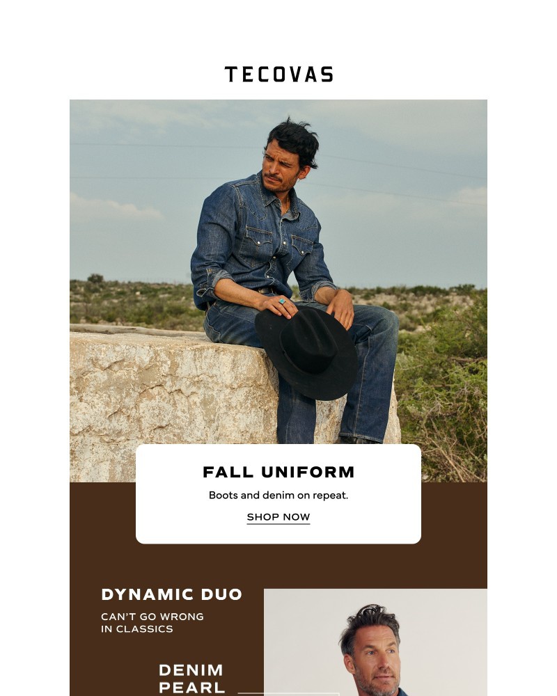 Screenshot of email with subject /media/emails/top-picks-for-fall-69c22f-cropped-04ffd040.jpg