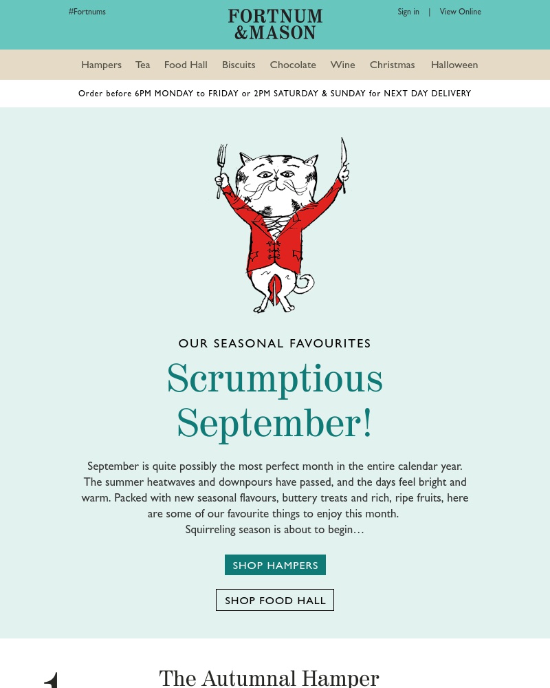 Screenshot of email with subject /media/emails/top-picks-for-you-new-seasonal-flavours-1-cropped-c0232c9f.jpg
