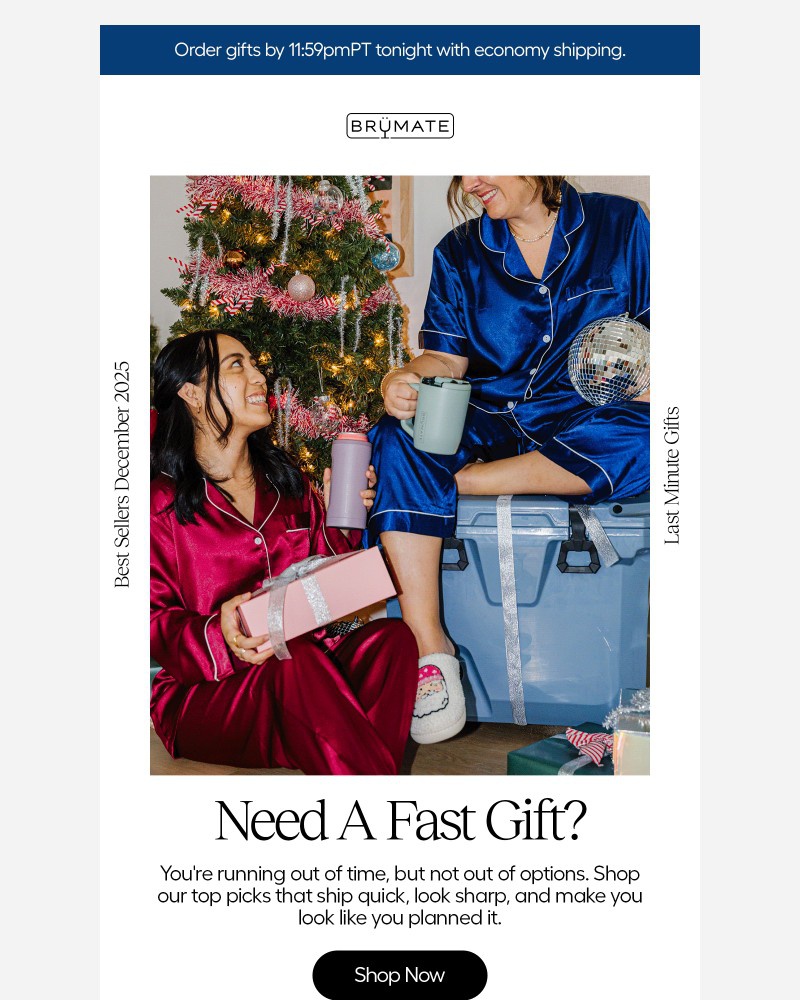 Screenshot of email sent to a BruMate Newsletter subscriber