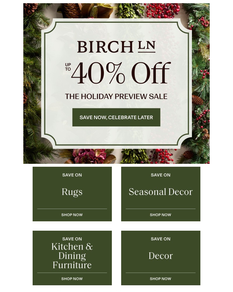 Screenshot of email with subject /media/emails/top-rated-rugs-up-to-40-off-7b99eb-cropped-4efe422a.jpg