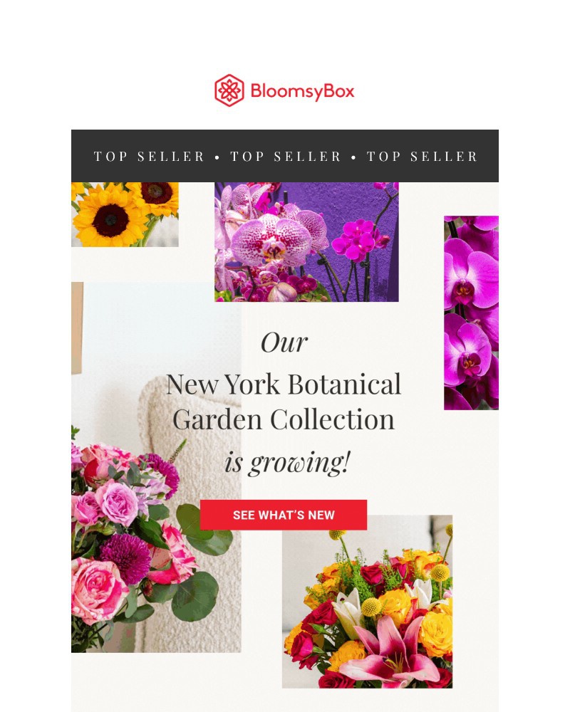 Screenshot of email with subject /media/emails/top-seller-mother-natures-finest-6c0ca0-cropped-1da46bd1.jpg