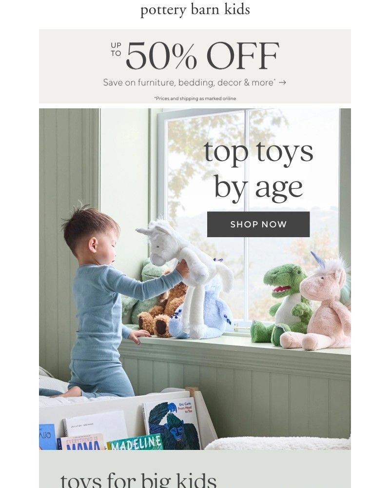 Screenshot of email with subject /media/emails/top-toys-by-age-0a180e-cropped-388dc2f9.jpg