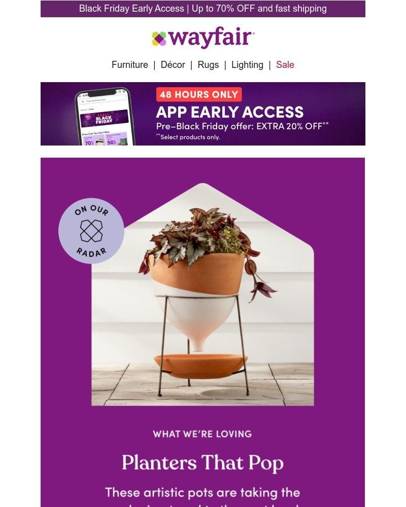 Screenshot of email with subject /media/emails/top-trend-planters-that-pop-818cb4-cropped-f7b7ee34.jpg