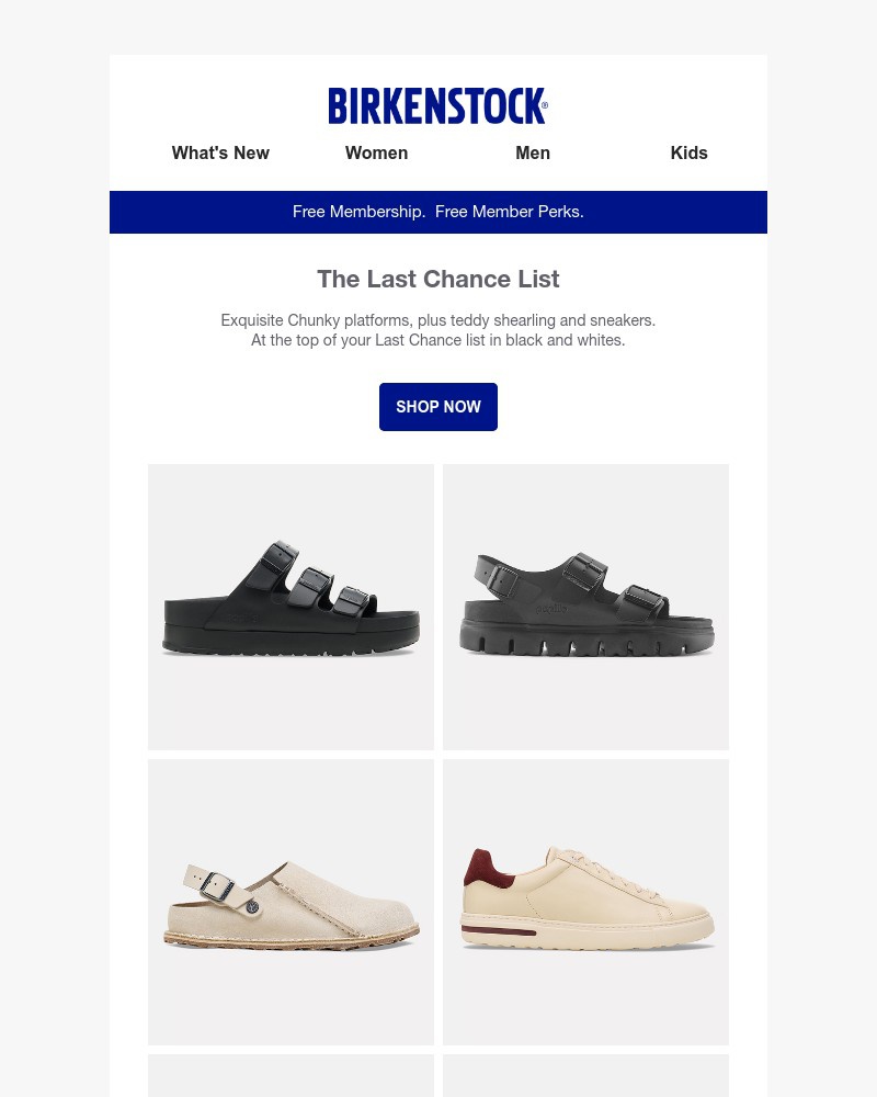 Screenshot of email with subject /media/emails/topping-your-last-chance-list-exquisite-florida-teddy-shearling-dfc2df-cropped-eda14548.jpg