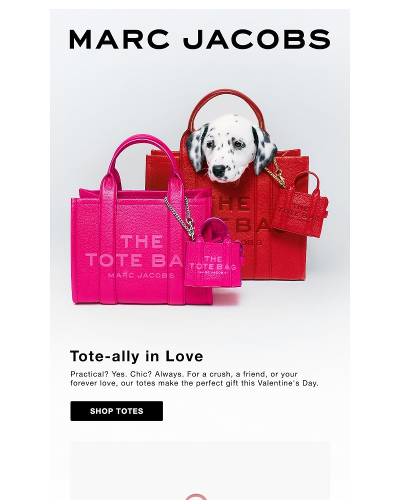 Screenshot of email with subject /media/emails/tote-ally-in-love-42ab56-cropped-f308de66.jpg