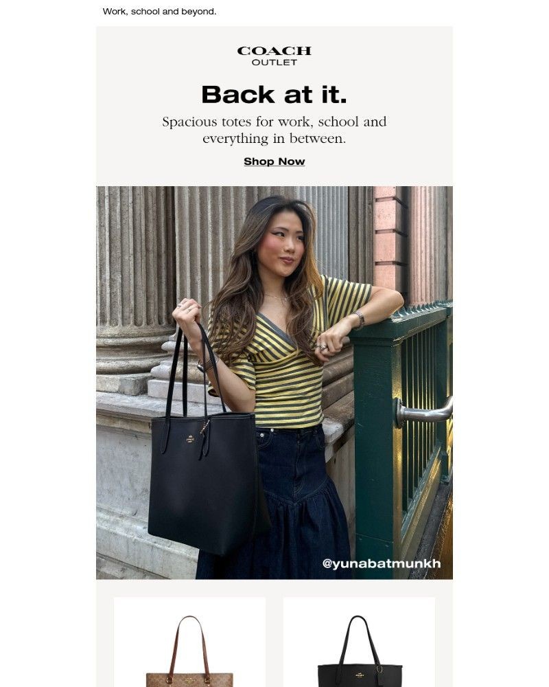 Screenshot of email with subject /media/emails/totes-for-new-beginnings-37004b-cropped-a0c1f2d2.jpg