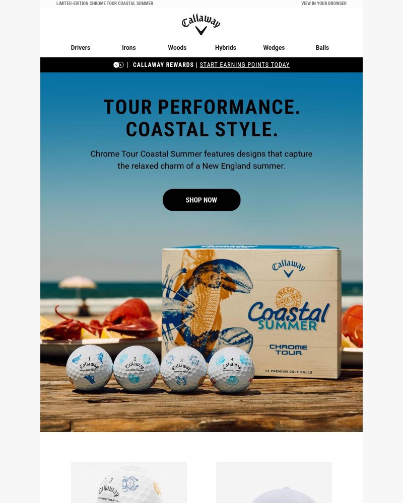 Screenshot of email with subject /media/emails/tour-performance-coastal-style-9c50b0-cropped-23acd438.jpg