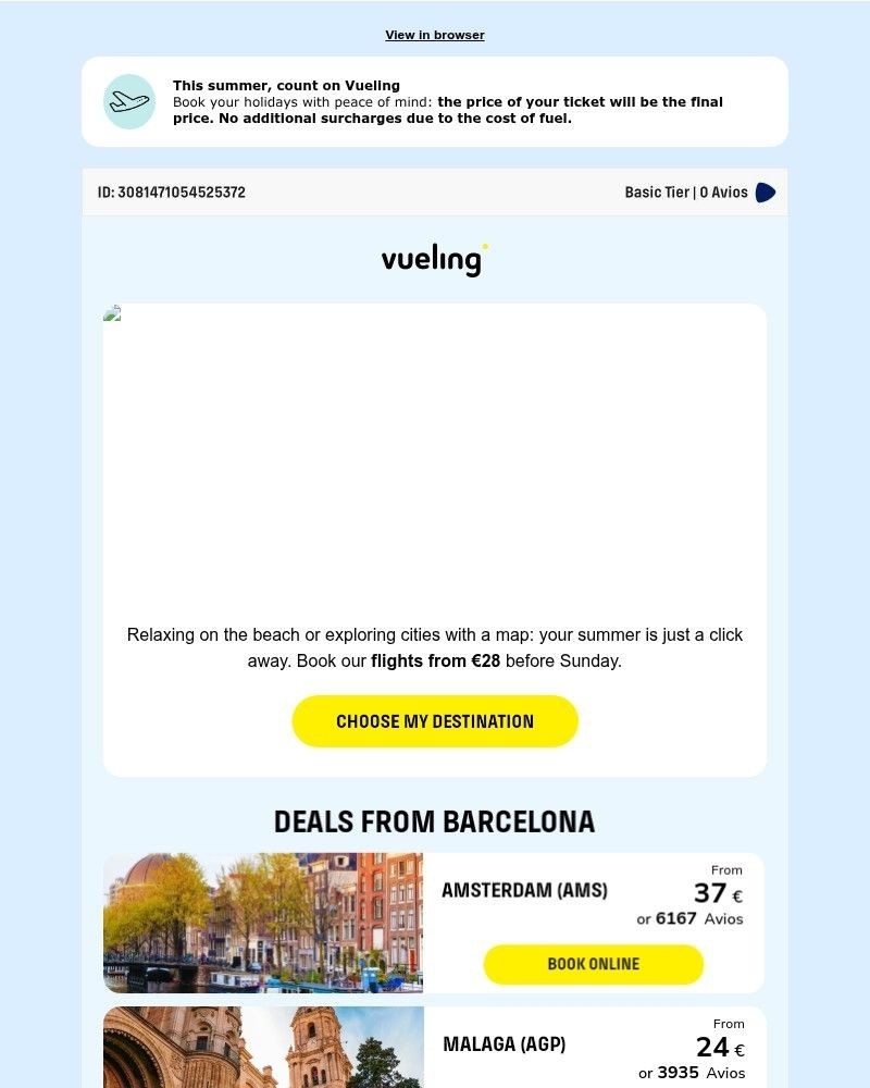 Screenshot of email sent to a Vueling Registered user