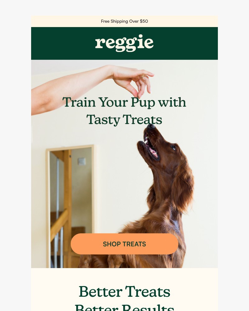 Screenshot of email sent to a reggie Newsletter subscriber