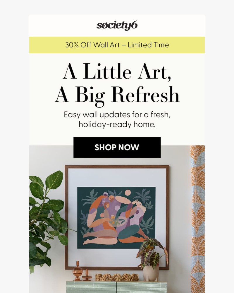 Screenshot of email sent to a Society6 Newsletter subscriber