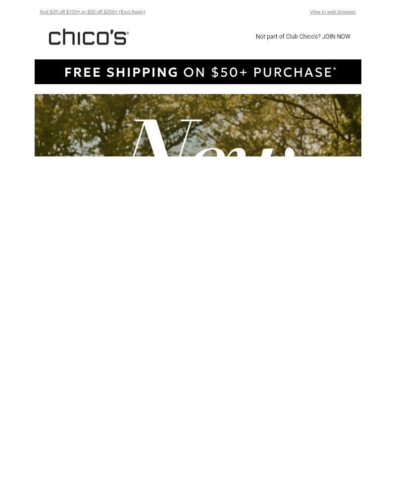 Screenshot of email with subject /media/emails/transitional-style-just-arrived-e57b3a-cropped-66374cf4.jpg