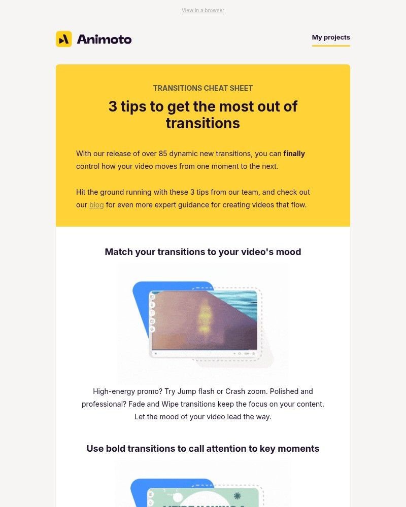 Screenshot of email sent to a Animoto Registered user