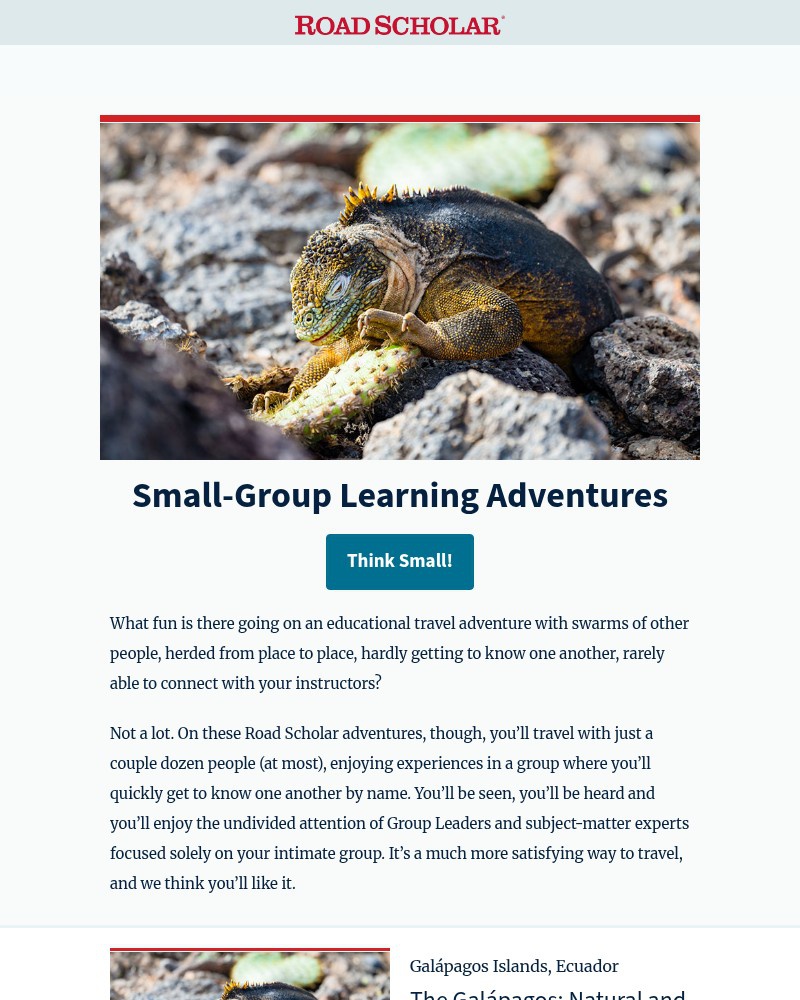 Screenshot of email sent to a Road Scholar Newsletter subscriber