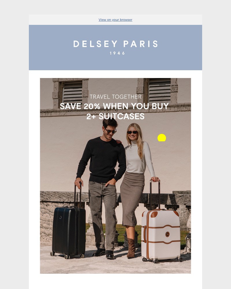 Screenshot of email sent to a Delsey Paris Newsletter subscriber