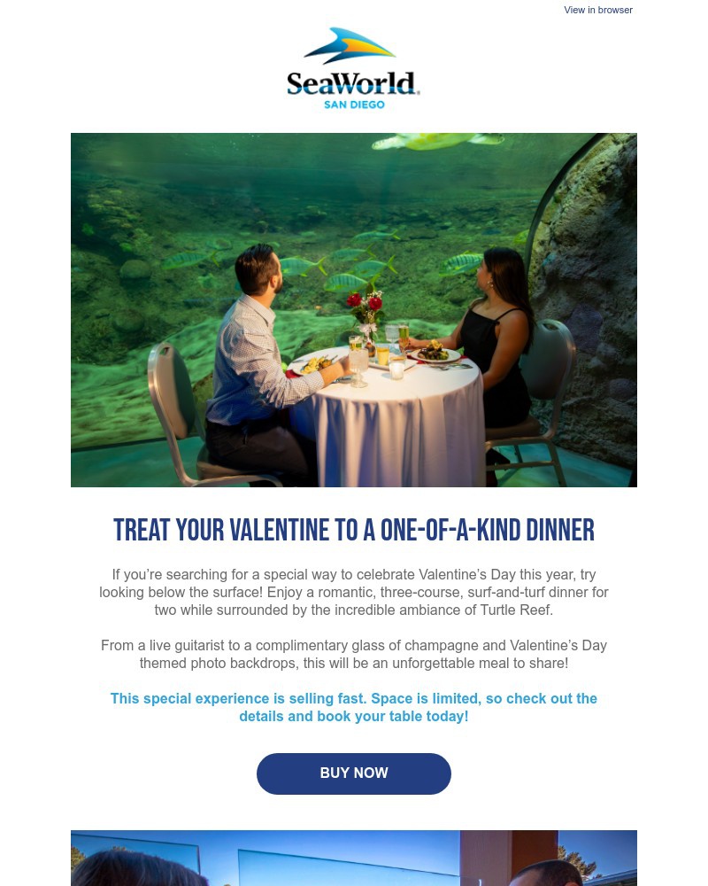Screenshot of email with subject /media/emails/treat-your-valentine-to-a-one-of-a-kind-dinner-8f3f79-cropped-142fbaa8.jpg