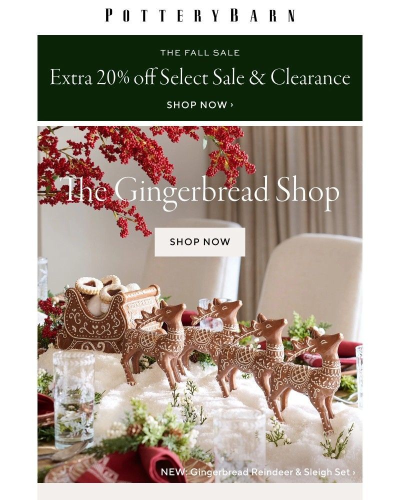 Screenshot of email with subject /media/emails/treat-yourself-to-extra-20-off-now-open-the-gingerbread-shop-121651-cropped-91bb89a5.jpg