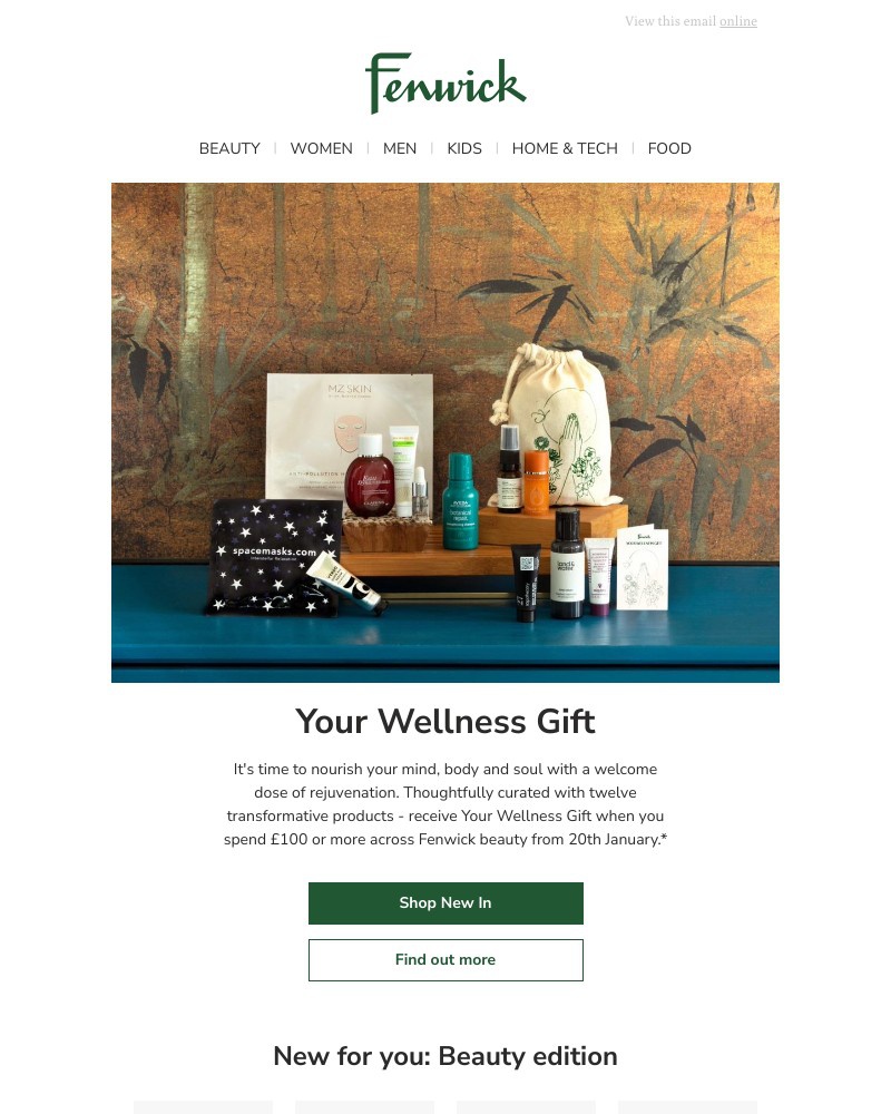 Screenshot of email with subject /media/emails/treat-yourself-to-our-complimentary-wellness-gift-4b14c1-cropped-34db4b40.jpg