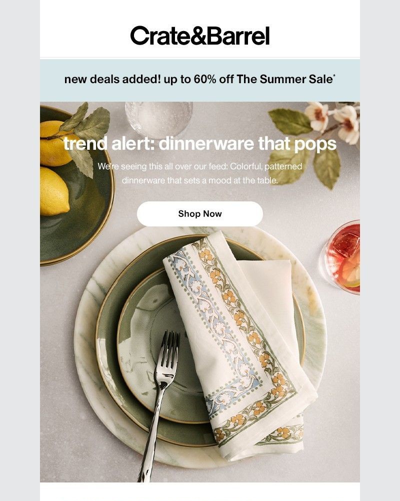 Screenshot of email with subject /media/emails/trend-alert-botanical-dinnerware-is-having-a-moment-40e633-cropped-959e7b26.jpg