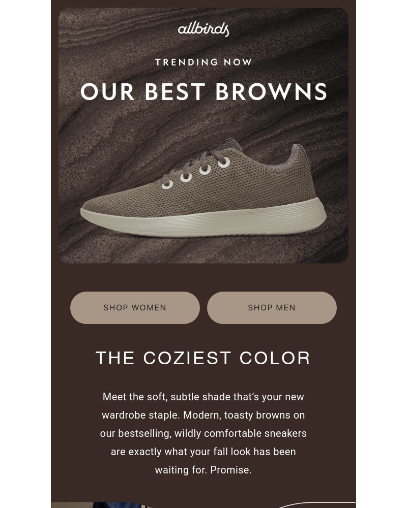 Screenshot of email with subject /media/emails/trend-alert-brown-is-back-6eabe8-cropped-a77e9e95.jpg