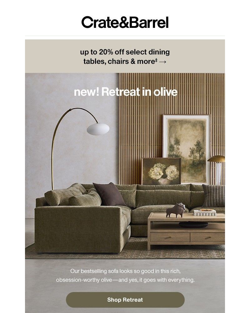 Screenshot of email with subject /media/emails/trend-alert-the-olive-green-sofa-you-need-to-see-19135c-cropped-dbd12166.jpg