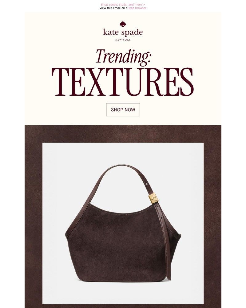 Screenshot of email with subject /media/emails/trending-for-fall-textures-12f85b-cropped-91055891.jpg