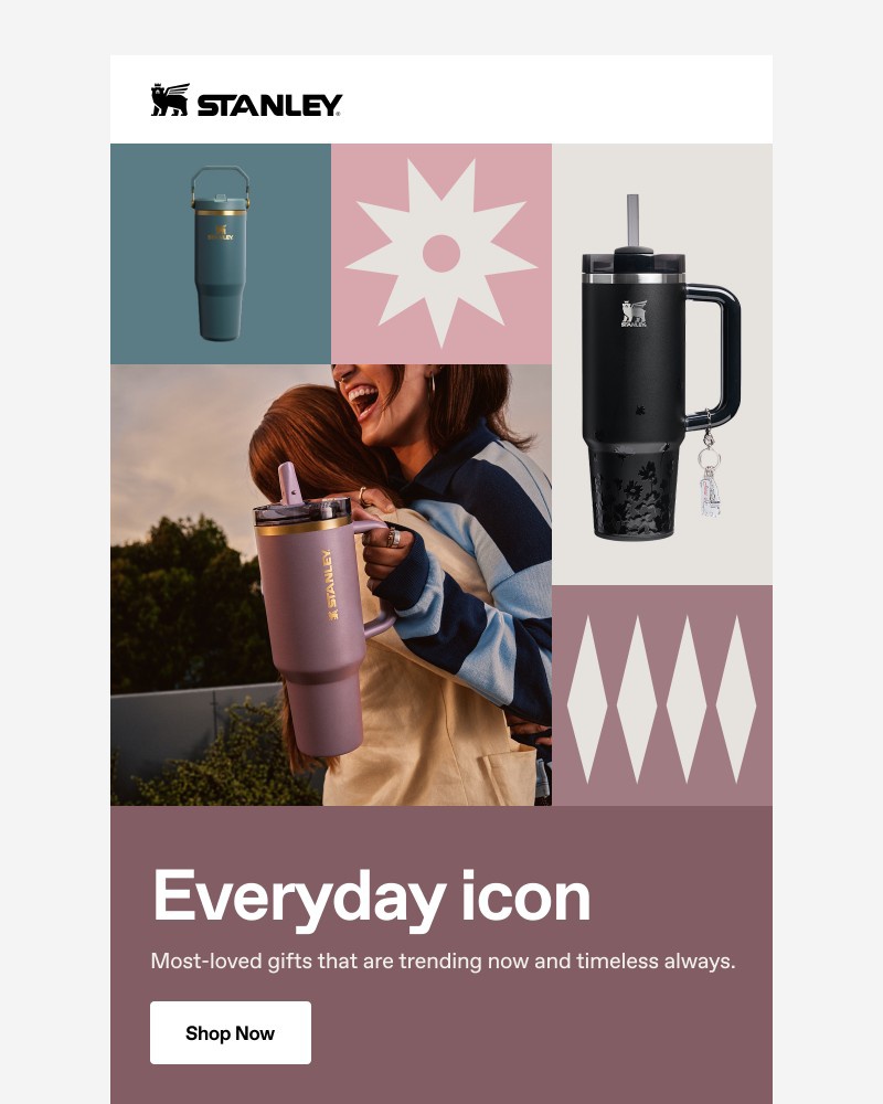 Screenshot of email sent to a Stanley Newsletter subscriber