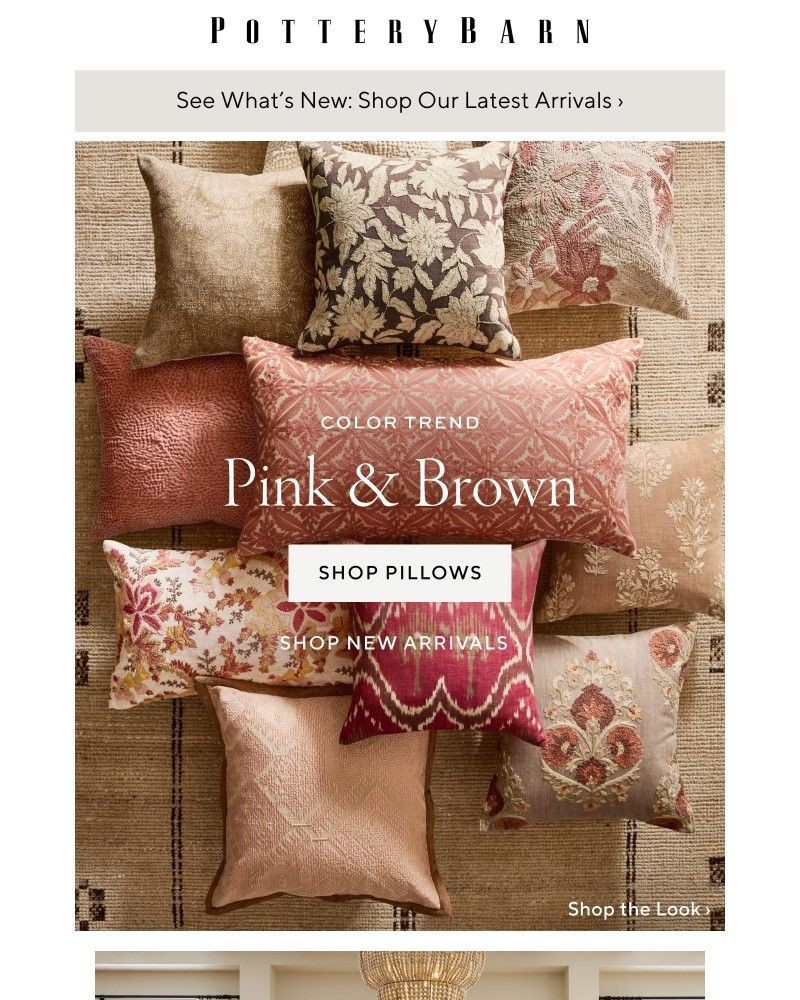 Screenshot of email with subject /media/emails/trending-now-pink-brown-1dd6e1-cropped-f6db620c.jpg
